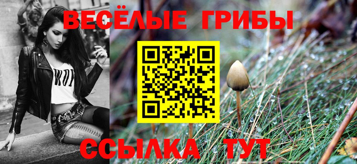 Галлюциногенные грибы Psilocybe  Вход с VPN  Звенигород 