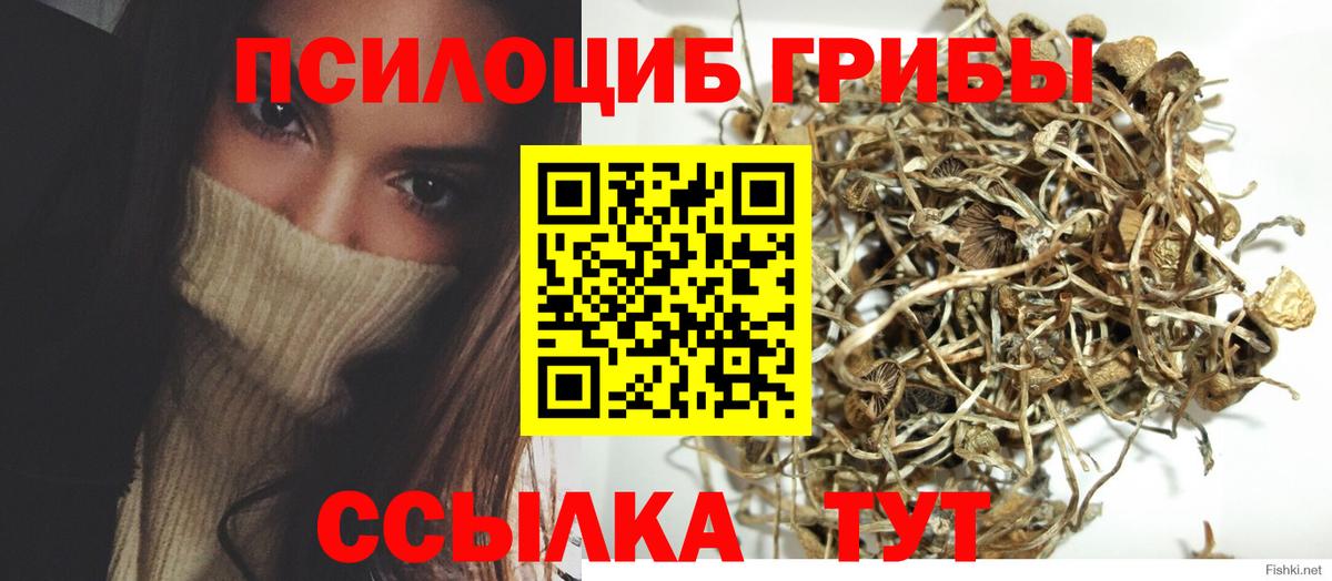 Галлюциногенные грибы MAGIC MUSHROOMS Звенигород